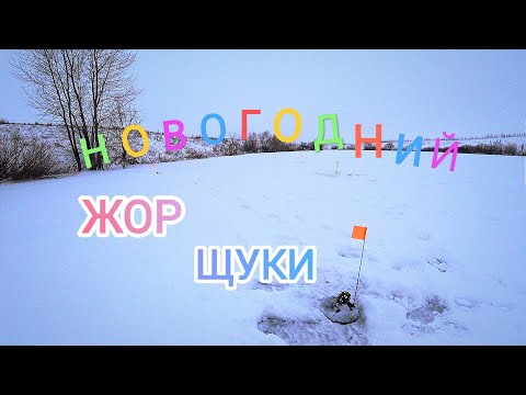 Видео: ПОПАЛ НА ЖОР ЩУКИ! Устал бегать и считать сработки ! Зимняя Рыбалка 2024 года на жерлицы в январе!