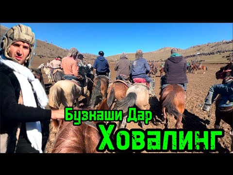 Видео: 2 февраля 2025 г.  Бузкаши дар Ховалинг
