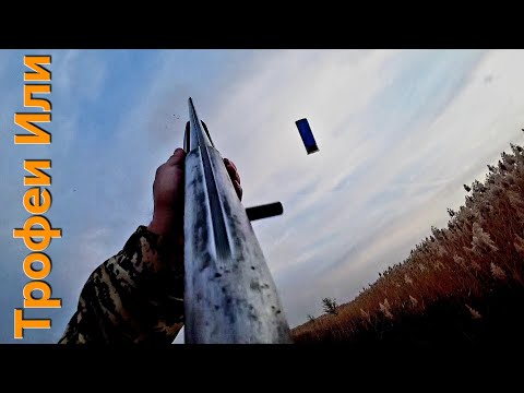 Видео: ОХОТА НА ФАЗАНА показала//сделал,поменял проверил,всё работает.