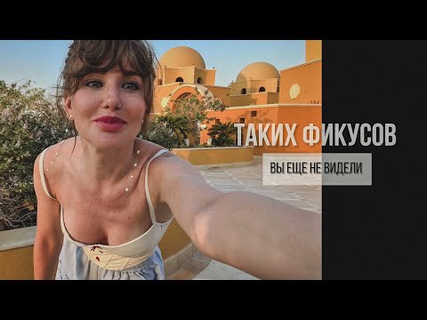 Видео: ГИГАНТСКИЕ ФИКУСЫ ЕГИПТА🪴КАКТУСОВЫЙ РАЙ🪴#фикусбенджамина #фикуслирата #кактусы #фикусы