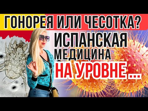 Видео: ЖИЗНЬ В ИСПАНИИ. Если что-то зачесалось, ЭТО СКОРЕЙ ВСЕГО НЕ КОМАРЫ