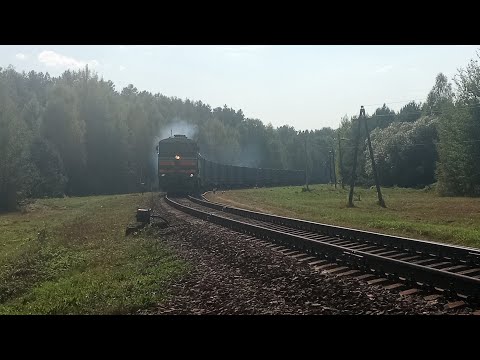 Видео: 2тэ10м-3108 тч16-Витебск следует с китайскими контейнерами по перегону Дараганово-фаличи