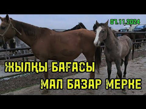 Видео: ЖЫЛҚЫ БАҒАСЫ 07.11.2024 МАЛ БАЗАР МЕРКЕ