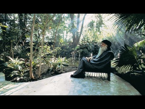 Видео: Ошо ЕСТЬ ТОЛЬКО СОЗНАНИЕ И ВЫ ЕСТЬ ТО #Просветление#Пробуждение