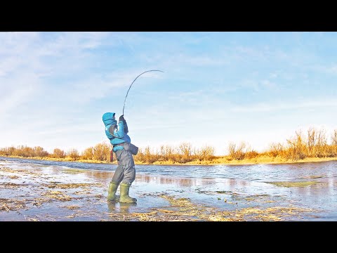Видео: Спиннинг по Первому Льду! ЩУКИ ЗВЕРЕЮТ ОТ ТАКОГО РАЗМЕРА! Рыбалка эксперимент