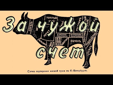 Видео: За чужой счет. Рав Дов Бер Байтман