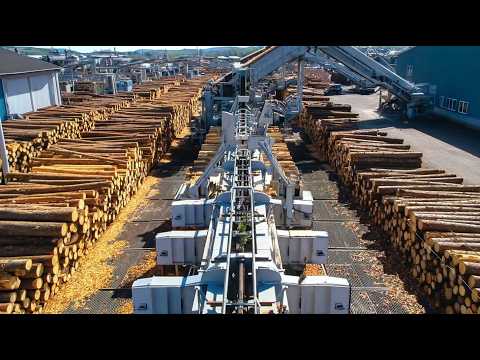 Видео: Современные технологии деревообработки: от заготовки леса до высокоскоростного производства пилом...