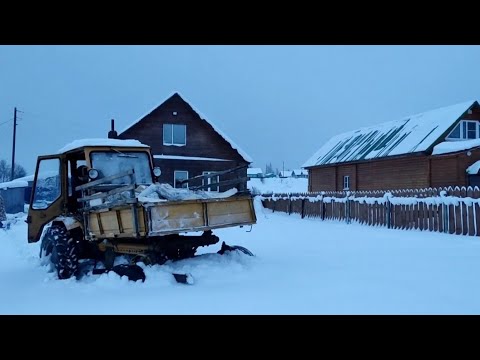 Видео: Т16 перевозка дров по глубокому снегу