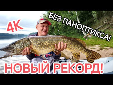 Видео: Монстр глубин ВЗЯТ! Пальцы можно не прятать. Щука на спиннинг.