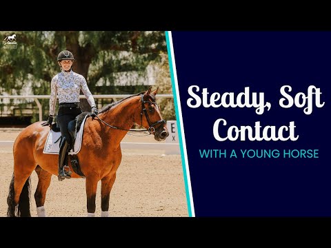 Видео: От суетливости к стабильности: устранение непостоянного контакта с поводьями