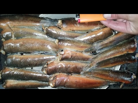 Видео: Африканский клариевый сом.Подсчитываем убытки.