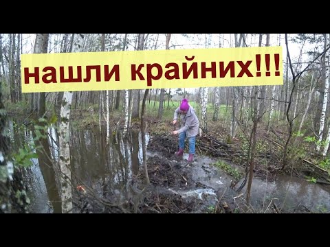 Видео: Про Все и по немногу. Жизнь в деревне Окунево.