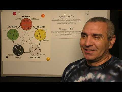 Видео: Два Основных правила Воздействия на Точки Акупунктуры.