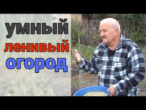 Видео: Он учил людей не копать и не работать на огороде. Человек, который имел самодостаточный огород R