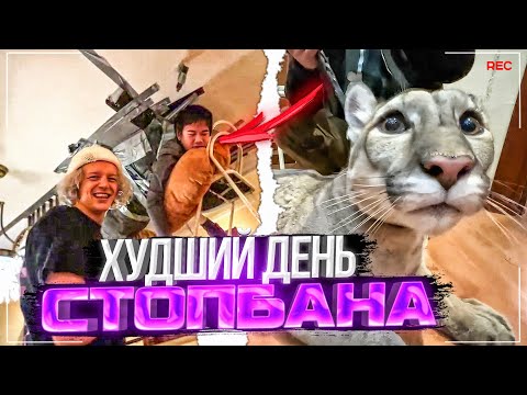 Видео: ХУДШИЙ ДЕНЬ СТОПБАНА! (Парадеевич, PLOHOYPAREN, danoneflexin, stopb4n)