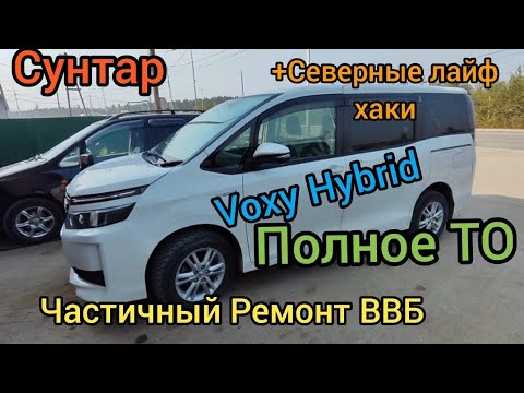 Видео: Toyota Voxy Hybrid ремонт ВВБ, ТО двигателя + полезные советы. (СУНТАР).