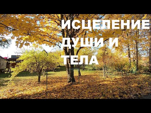 Видео: ПЕНИЕ ПТИЦ И ЯРКИЕ КРАСКИ ОСЕНИ НАПОЛНЯТ ВАС РАДОСТЬЮ И ОПТИМИЗМОМ.ПТИЦАМ ЭТО ПОДВЛАСТНО.