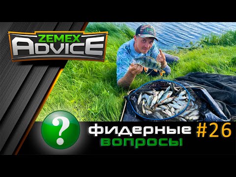 Видео: ВСЁ О ФИДЕРЕ / ОТВЕТЫ НА ВОПРОСЫ / ZEMEX Advice