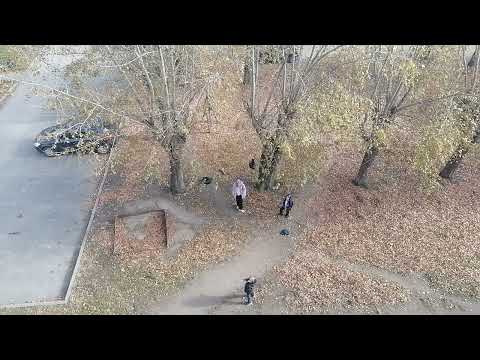 Видео: Лиза сбила с дерева рюкзак