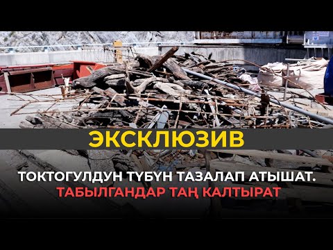 Видео: Токтогулдун түбүн тазалап атышат. Табылгандар таң калтырат