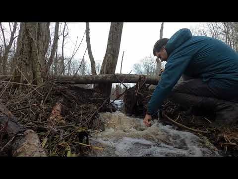 Видео: А у нас Весна! Водопад на бобровой плотине. День 3.
