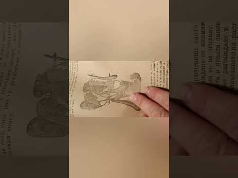 Видео: Успешен модел за градината е модела от 100 години назад.