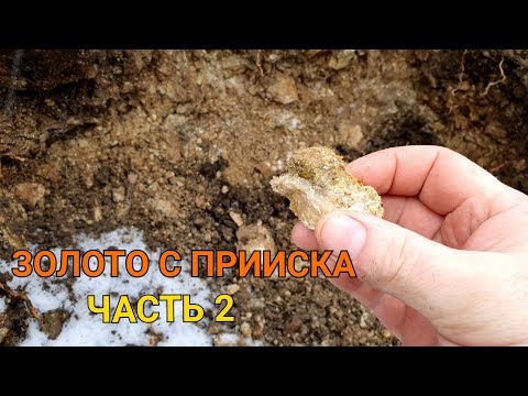 Видео: ЗОЛОТО С ПРИИСКА ЧАСТЬ 2