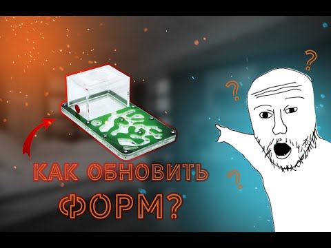 Видео: Как обновить формикарий? И как тетры переселялись #1