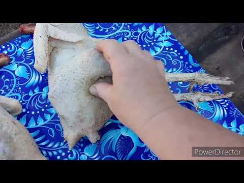 Видео: Убираем старых , подростают  новые молодые . Тушёнка из курочек ,выход .