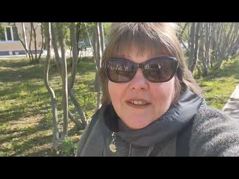 Видео: Кировск/Дневной стационар/Прохожу лечение