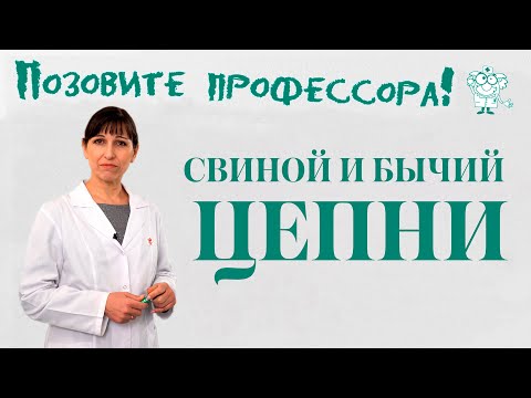 Видео: Свиной и бычий цепни