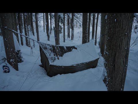 Видео: Одиночный поход в сильный снегопад│В глубоком заснеженном лесу