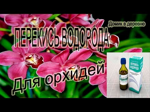 Видео: ШОК!!!! Перекись водорода для орхидей!!!!