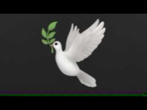 Видео: FEDUK-Околофутбола🕊  (Slowed)