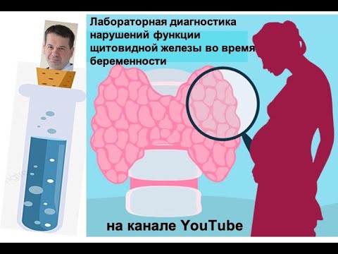 Видео: Оценка функции щитовидной железы во время беременности