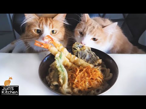 Видео: Лапша удон с темпурой