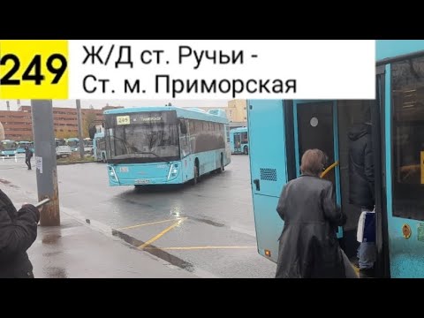 Видео: Автобус 249. Ж/Д ст. Ручьи - Ст. м. Приморская