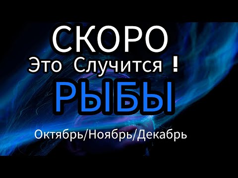 Видео: РЫБЫ ♓️ ОКТЯБРЬ/НОЯБРЬ/ДЕКАБРЬ 2024🔴4 квартал года.Главные события периода.Таро гороскоп/прогноз