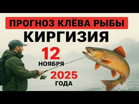 Видео: ПРОГНОЗ КЛЁВА в Киргизии на 12 ноября 2025 года: Бросай все и на рыбалку!