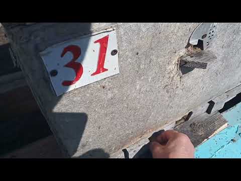 Видео: 6 апреля .Пчёлки несут " обножку" . А первую несли 1 и 2 апреля .