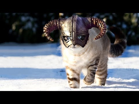 Видео: ЛЁД, СЕКРЕТКА, ДОВАКОТ ► Cat Quest |5| Прохождение