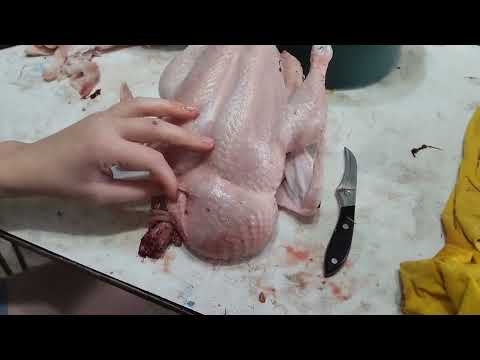 Видео: 🐔не для слабонервных😀...потрошим курочку🐔