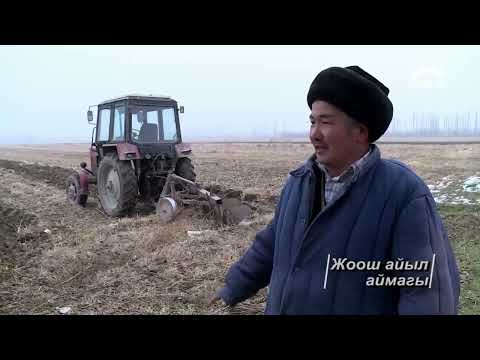 Видео: Биздин айыл программасы №29  Жоош айылы