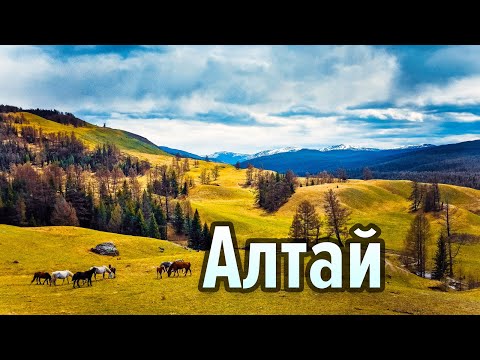 Видео: 10 лучших мест Алтая!
