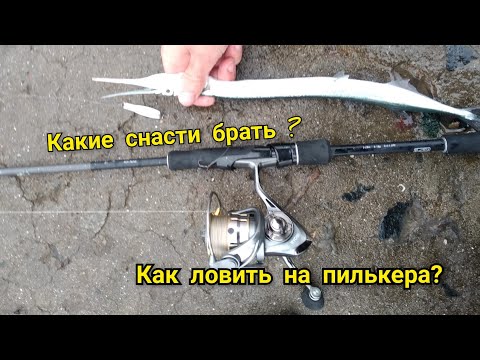 Видео: Как ловить саргана на металлические приманки?Теория и практика.