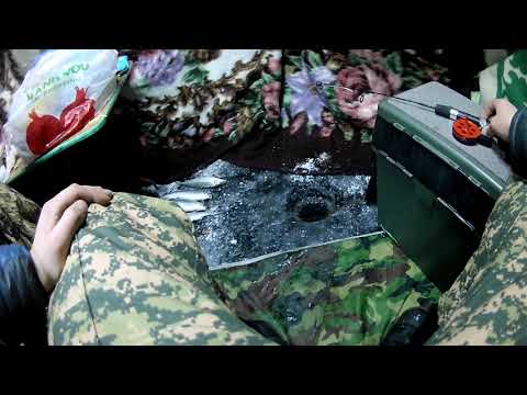 Видео: Зимняя ловля сиговых(рипус, пелядь,сиг) на озере Щучье
