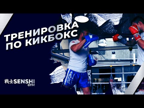 Видео: Тренировка по кикбокс с Владимир Вълев- питбула