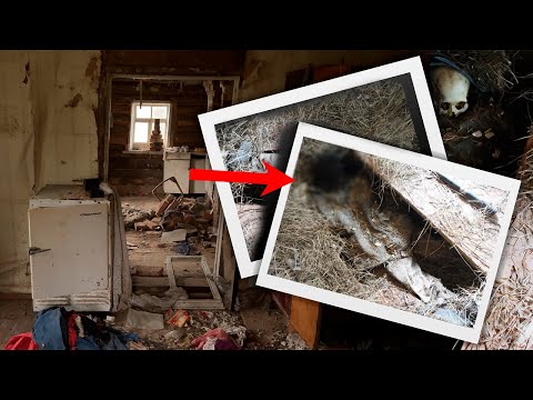 Видео: НАШЕЛ ТР*П В ЗАБРОШЕННОМ ДОМЕ С ПРИЗРАКОМ