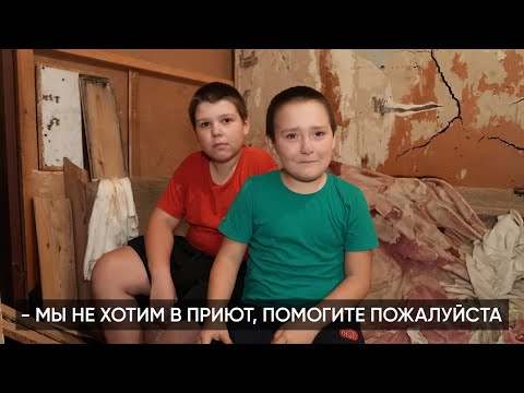 Видео: БАБУШКА, МЫ НЕ ХОТИМ В ПРИЮТ. ИХ СЪЕДАЮТ ЗАЖИВО.