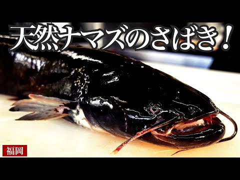 Видео: Основан 147 лет назад! Полное блюдо сома в известном ресторане